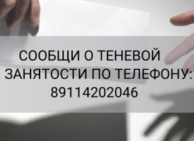 СООБЩИ О ТЕНЕВОЙ ЗАНЯТОСТИ ПО (1).png